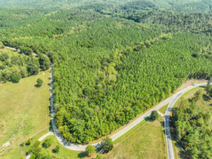 Property photo for land for sale in Lewis County Tennessee