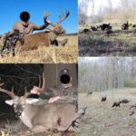 Property photo for land for sale in Jefferson County Mississippi