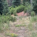 Property photo for land for sale in  County New Mexico