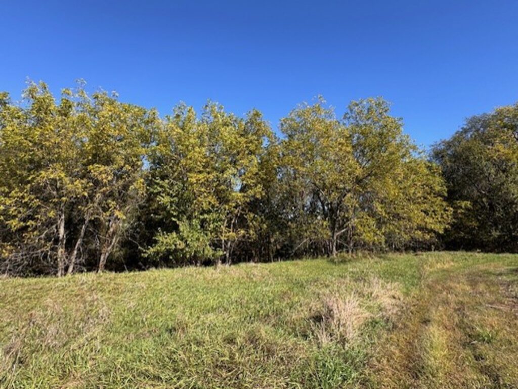 Property photo for land for sale in Daviess County Missouri