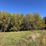 Property photo for land for sale in Daviess County Missouri