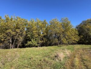 Property photo for land for sale in Daviess County Missouri