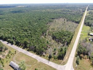 Property photo for land for sale in Adams County Wisconsin