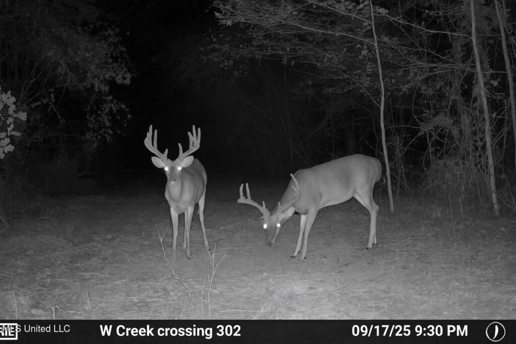 Property photo for land for sale in Claiborne County Mississippi