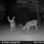 Property photo for land for sale in Claiborne County Mississippi