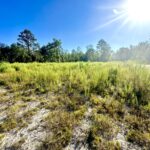 Property photo for land for sale in Suwannee County Florida