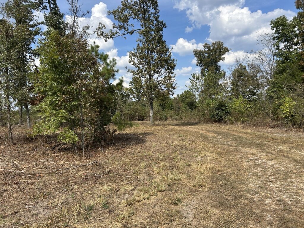 Property photo for land for sale in Douglas County Missouri