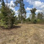 Property photo for land for sale in Douglas County Missouri