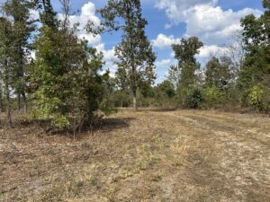 Property photo for land for sale in Douglas County Missouri