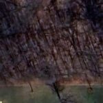 Property photo for land for sale in Wyandot County Ohio