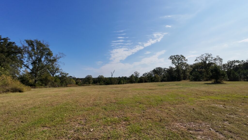Property photo for land for sale in Cass County Texas