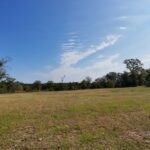 Property photo for land for sale in Cass County Texas