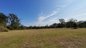 Property photo for land for sale in Cass County Texas