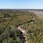 Property photo for land for sale in Bamberg County South Carolina