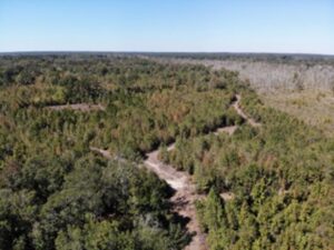 Property photo for land for sale in Bamberg County South Carolina