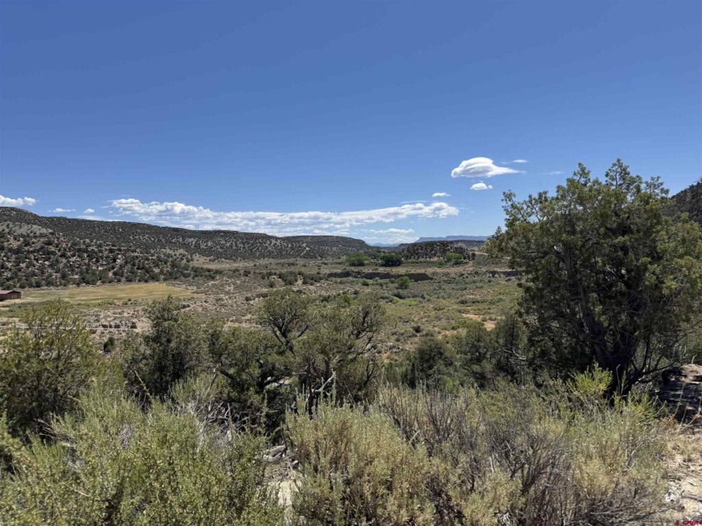 Property photo for land for sale in Montezuma County Colorado