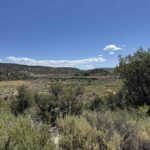 Property photo for land for sale in Montezuma County Colorado