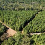 Property photo for land for sale in Amite County Mississippi