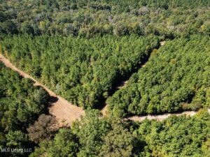 Property photo for land for sale in Amite County Mississippi