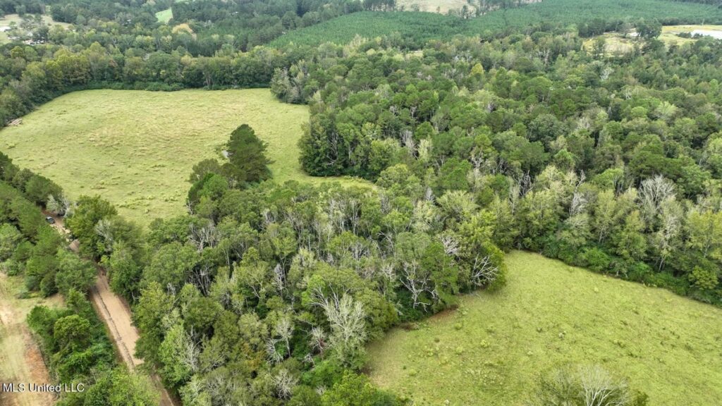 Property photo for land for sale in Jefferson Davis County Mississippi