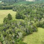 Property photo for land for sale in Jefferson Davis County Mississippi