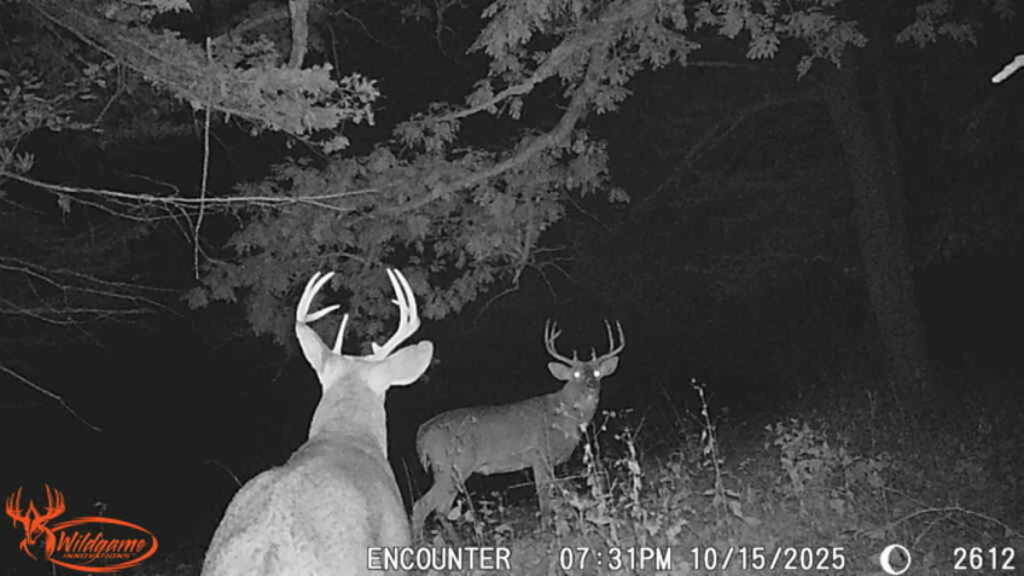 Property photo for land for sale in Ringgold County Iowa