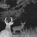 Property photo for land for sale in Ringgold County Iowa