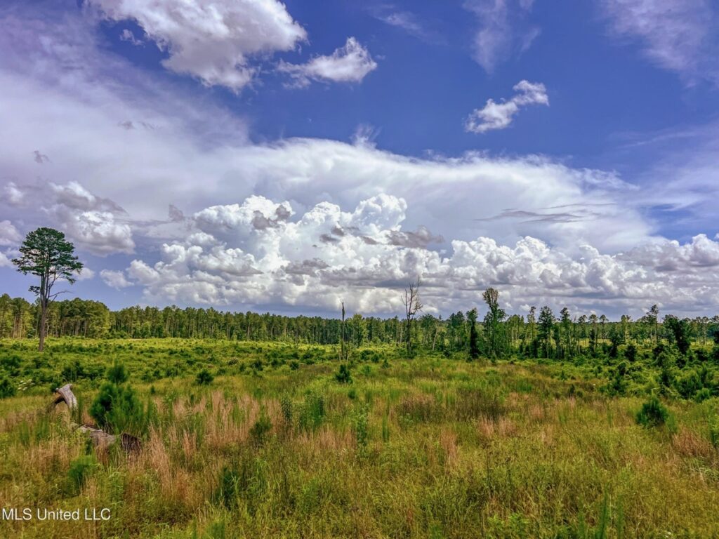 Property photo for land for sale in Amite County Mississippi