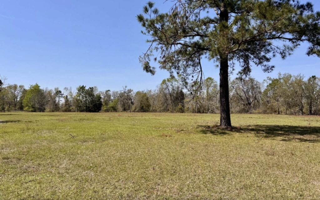 Property photo for land for sale in Hamilton County Florida