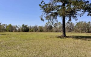 Property photo for land for sale in Hamilton County Florida
