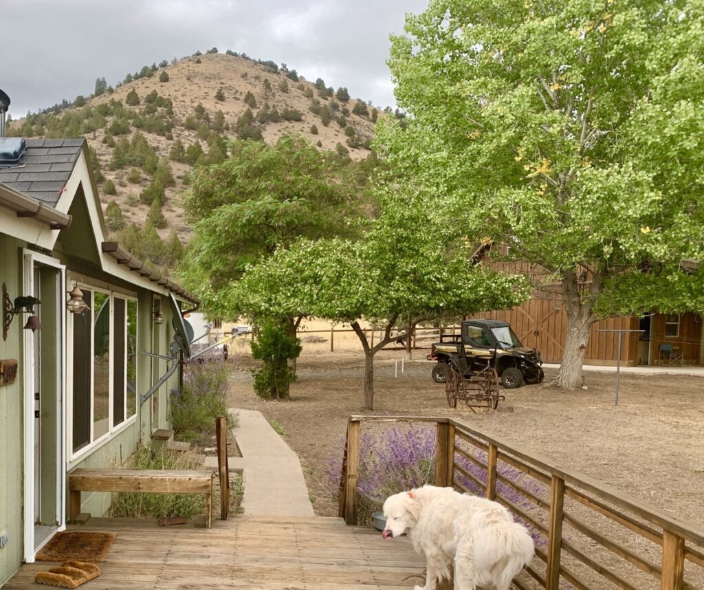 Property photo for land for sale in Modoc County California