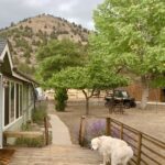 Property photo for land for sale in Modoc County California