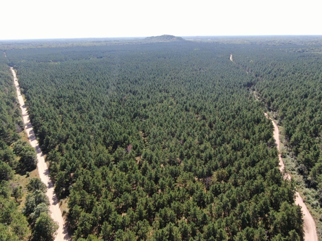 Property photo for land for sale in Adams County Wisconsin