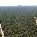 Property photo for land for sale in Adams County Wisconsin