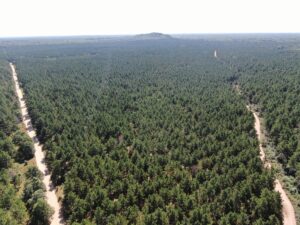 Property photo for land for sale in Adams County Wisconsin