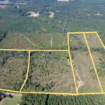 Property photo for land for sale in Lincoln County Louisiana