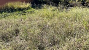 Property photo for land for sale in Brown County Texas