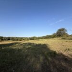 Property photo for land for sale in Van Zandt County Texas
