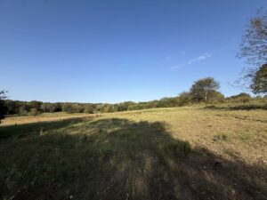 Property photo for land for sale in Van Zandt County Texas