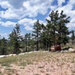 Property photo for land for sale in Larimer County Colorado