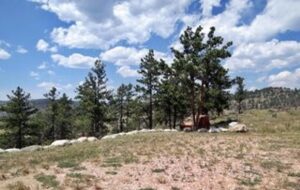 Property photo for land for sale in Larimer County Colorado