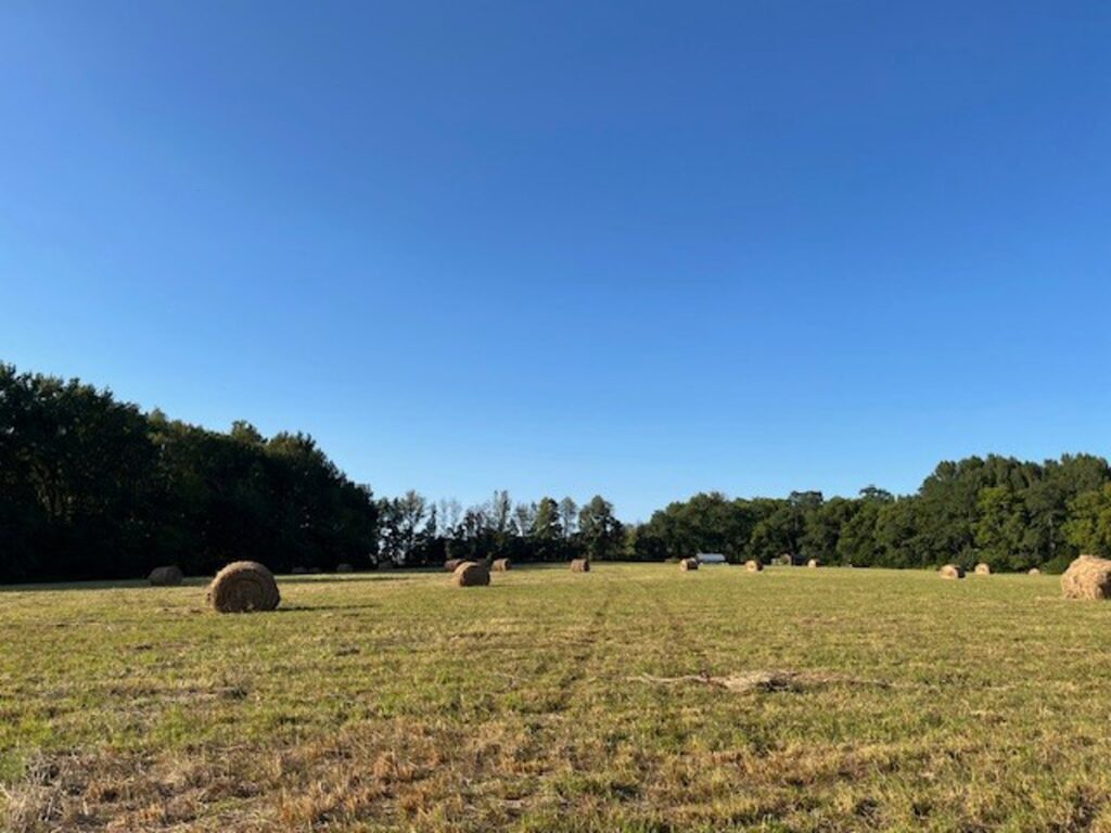 Property photo for land for sale in Williamson County Tennessee