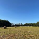 Property photo for land for sale in Williamson County Tennessee