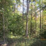 Property photo for land for sale in Lunenburg County Virginia