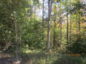 Property photo for land for sale in Lunenburg County Virginia