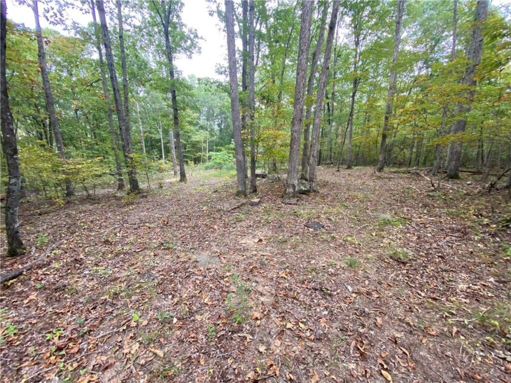 Property photo for land for sale in Newton County Arkansas