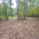 Property photo for land for sale in Newton County Arkansas
