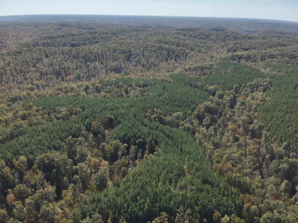Property photo for land for sale in Perry County Tennessee
