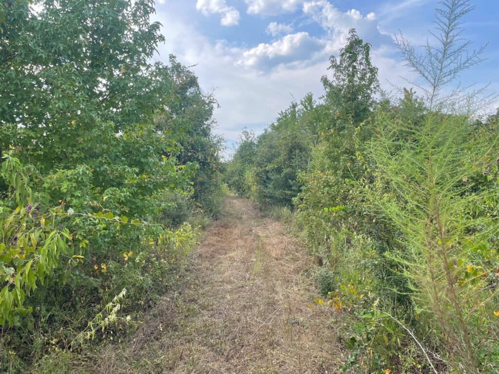 Property photo for land for sale in Beauregard County Louisiana