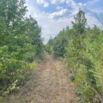 Property photo for land for sale in Beauregard County Louisiana
